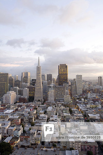 Aussicht vom Coit Tower  San Francisco  Downtown  Kalifornien  USA  Vereinigte Staaten von Amerika