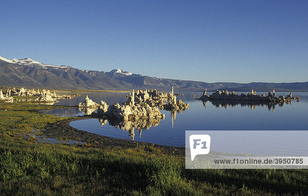 Tuffsteine am Mono Lake bizarr Kalifornien Amerika USA