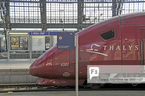 Schnellverkehrszug Thalys im Hauptbahnhof von Köln  Nordrhein-Westfalen  Deutschland  Europa
