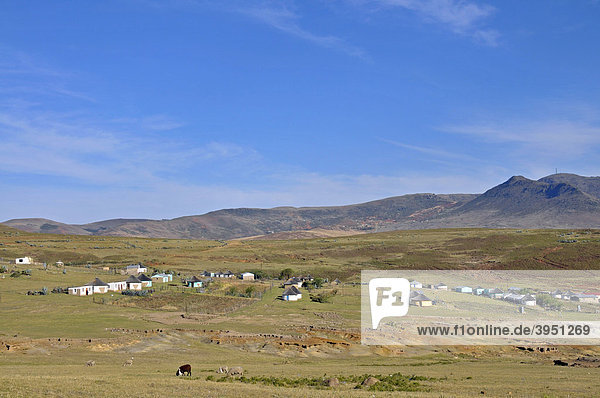 Häuser in der Transkei  Provinz Ost-Kap  Südafrika  Afrika