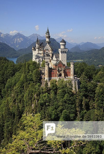 Schloss Neuschwanstein  Bayern  Deutschland