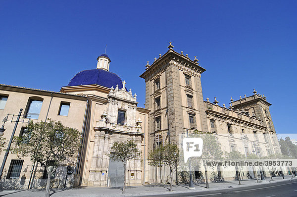 Museo de Bellas Artes  Museum der schönen Künste  Valencia  Spanien  Europa