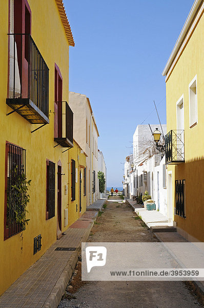 Schmale Straße  gelbe Häuser  Tabarca  Isla de Tabarca  Alicante  Costa Blanca  Spanien  Europa