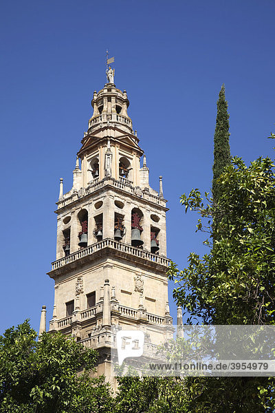 Torre del Alminar  Turm von Alminar  Mezquita  Kathedrale von Cordoba  Cordoba  Andalusien  Spanien  Europa