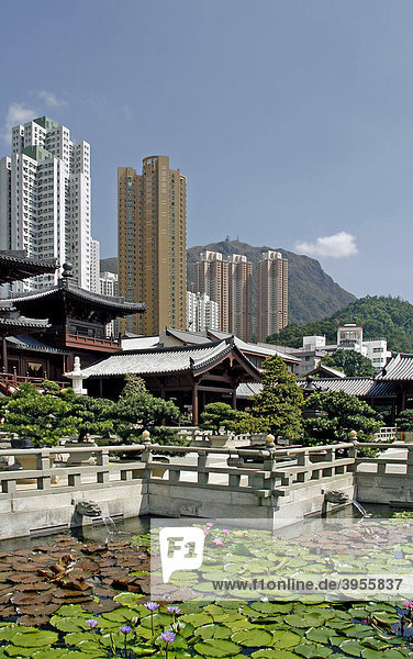 Chi Lin Nunnery  Tempelanlage  Pagoden  hinten Hochhäuser  Hong Kong  Hongkong  China  Asien