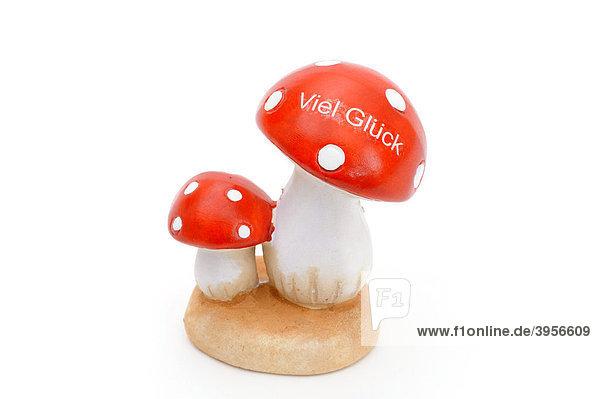 Fliegenpilz aus Keramik mit Aufschrift Viel Glück
