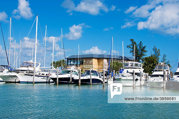 Das Rusty Pelican Restaurant am Rickenbacker Yachthafen in Miami  Florida  USA