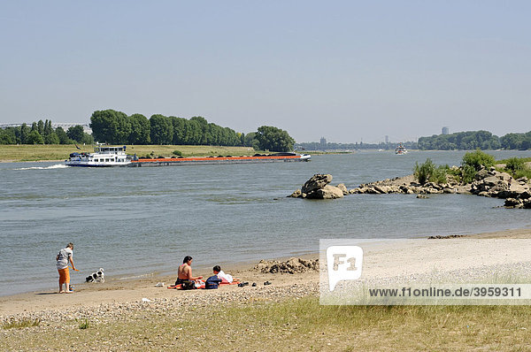 The banks of the Rhine River  North of Duesseldorf  North Rhine-Westphalia  Germany  Europe