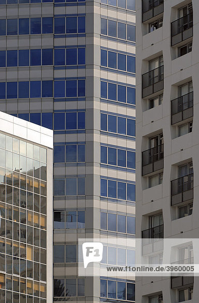 Moderne Gebäudefassaden aus Glas und Stahl in der Innenstadt  Auckland  Neuseeland