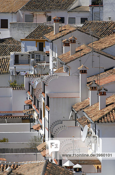 Dächer und Schornsteine in Ronda  Andalusien  Spanien  Europa