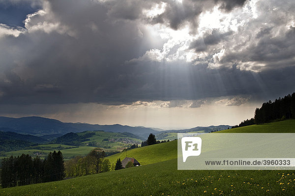 Gewitterwolken und Sonnenstrahlen  Schwarzwald  Baden-Württemberg  Deutschland