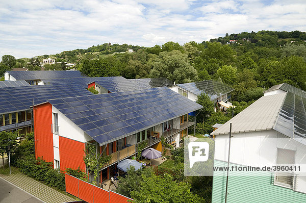 Solardächer der Solarsiedlung  Vauban  Freiburg  Baden-Württemberg  Deutschland  Europa