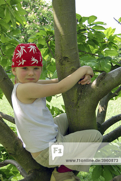 Girls  5 years old  wearing a pirate bandana  on the top of a climbing tree