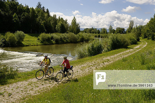 Cyclists on the banks of the river Ammer near Weilheim  Pfaffenwinkel  Upper Bavaria  Germany  Europe