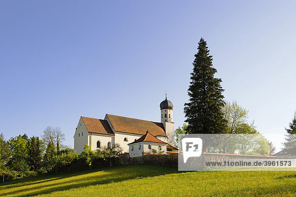 Pfarrkirche St. Kilian Bad Heilbrunn Oberbayern Bayern Deutschland Europa