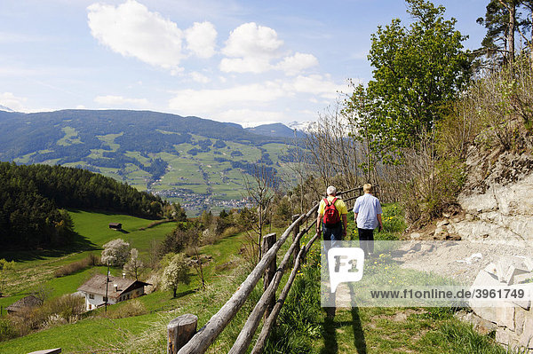Hiking trail near Lajen  Eisack Valley  South Tyrol  Italy  Europe