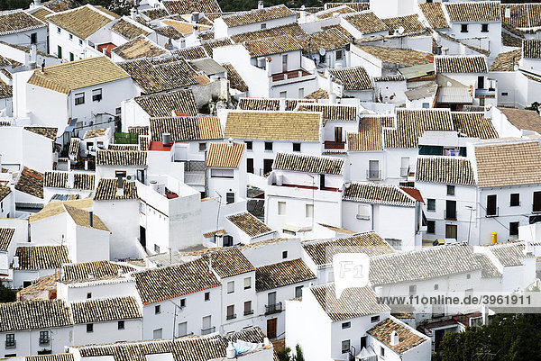 Weißes Dorf Zuheros  Andalusien  Spanien  Europa