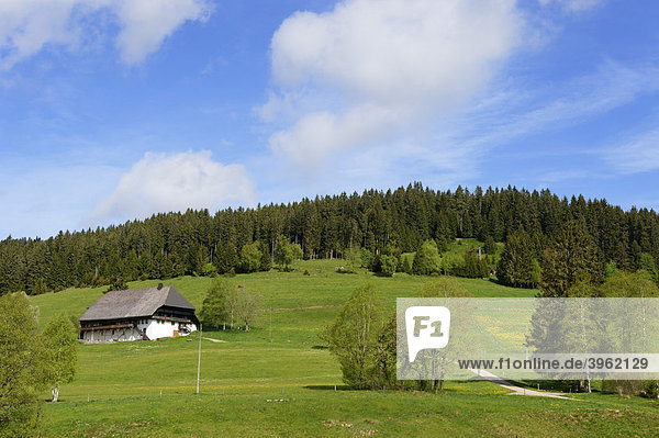 Bauernhaus im Hochschwarzwald beim Schluchsee  Schwarzwald  Baden-Württemberg  Deutschland  Europa
