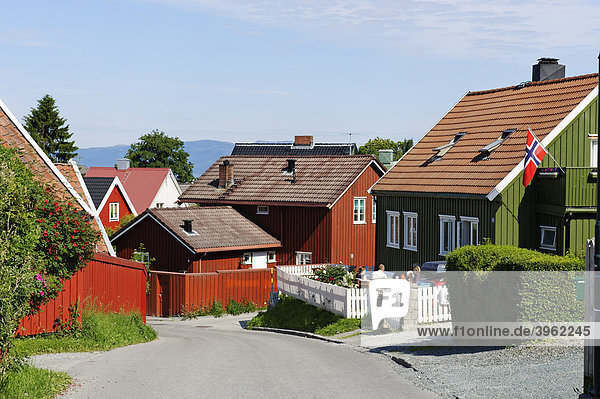 Holzhäuser im Viertel unter der Festung Kristiansten  Trondheim  Norwegen  Skandinavien  Europa
