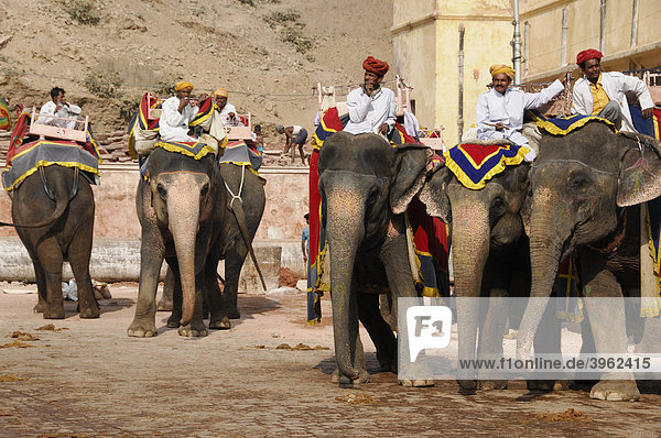Riding on elephants to the Fort Amber Palace  Amber  Rajasthan  North India  Asia