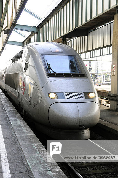 TGV  Zug von Stuttgart nach Paris  Stuttgart  Baden-Württemberg  Deutschland  Europa