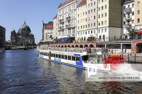 Passagierschiff auf der Spree  hinten der Berliner Dom  Bundeshauptstadt  Berlin  Deutschland  Europa