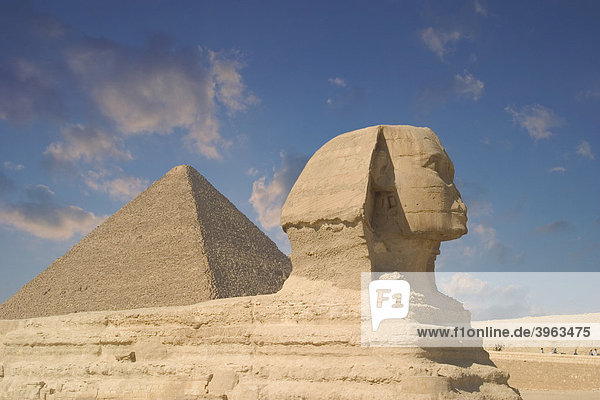 Sphinx und Pyramide von Gizeh  Ägypten  Afrika