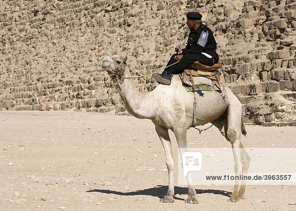 Guard on camel at pyramids  Egypt  Africa