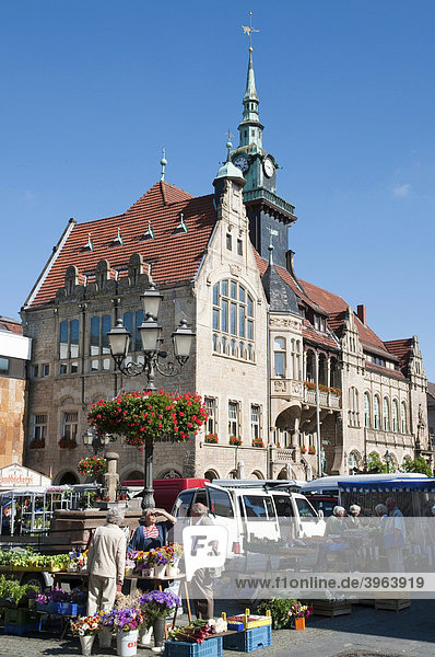 Market  Market Square and Town Hall  Bueckeburg  Weserbergland  Lower Saxony  Germany  Europe