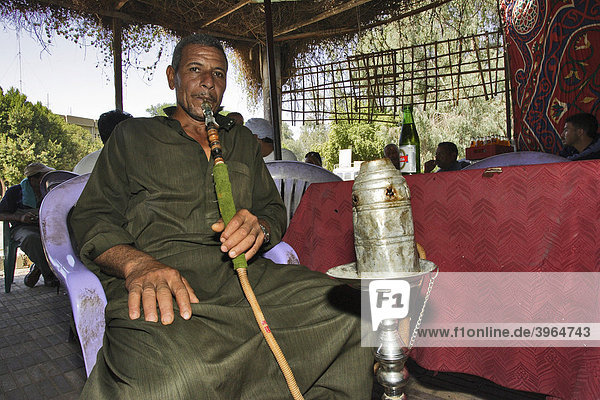 Shisha-  Wasserpfeifenraucher  Oase Bahariya  ägyptische Sahara  Ägypten  Afrika