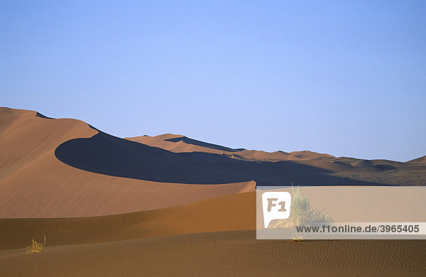 Wüstenimpressionen  Namib Wüste  Namibia  Afrika