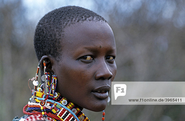 Massai Frau  Portrait  Kenia  Afrika