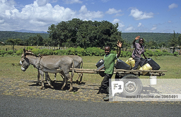 Donkey cart  Kenya  Africa