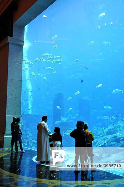 Huge saltwater aquarium of the Hotel Atlantis  The Palm Jumeirah  Dubai  United Arab Emirates  Arabia  Middle East  Orient