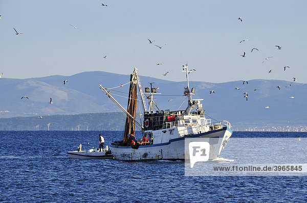 Fischtrawler vor Sutivan  Insel Brac  Dalmatien  Kroatien  Balkan  Europa