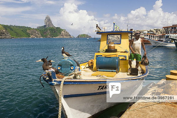 Morro do Pico und Santo AntÛnio Hafen  Fernando de Noronha National Marine Sanctuary  Pernambuco  Brasilien  Südamerika