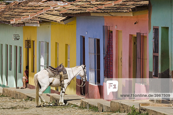 Pferd vor bunten Häusern  Trinidad  Provinz Sancti Spiritus  Kuba