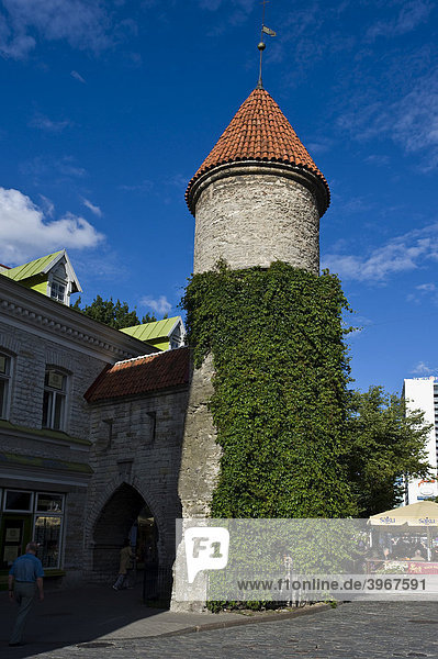 Stadttor  Tallinn  Estland  Baltikum