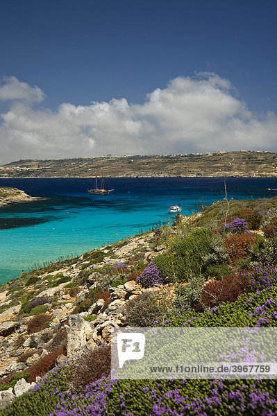 Blue Lagoon of Comino with view to Gozo Island  Malta  Europe