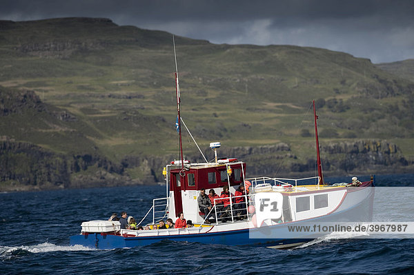 Fischerboot vor den Inneren Hybriden  Isle of Mull  Schottland  Großbritannien  Europa