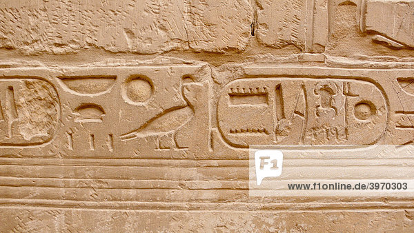 Wandzeichnungen  Hieroglyphen im Karnak Tempel  Luxor  Ägypten  Afrika