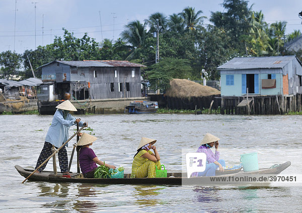 Vier Frauen mit traditionellem Kegelhut  am Mekong  Mekongdelta  Vietnam  Asien