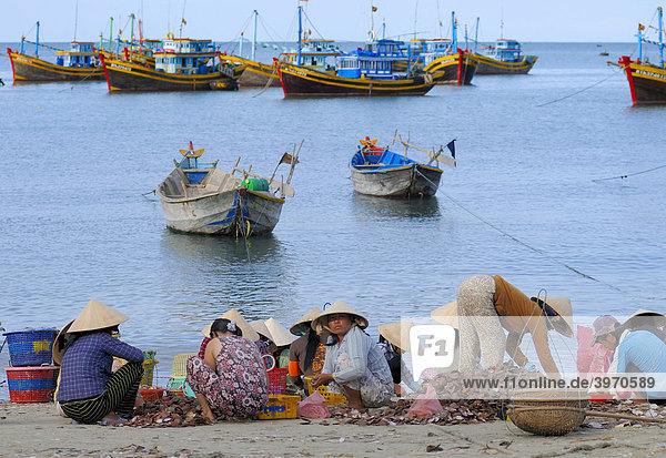Frauen am Fischmarkt  hinten bunte Fischerboote aus Holz. Strand von Mui Ne  Vietnam  Asien