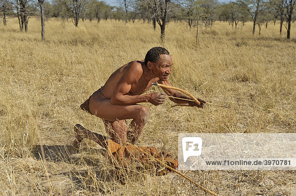 San man demonstrating the use of a bow and arrow  Zelda Guestfarm  Namibia  Africa