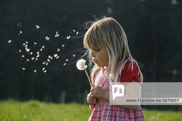 Girl with blowball