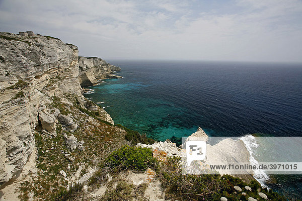 Kreidefelsen  Bonifacio  Korsika  Frankreich  Europa