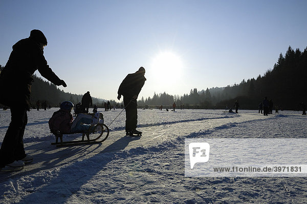 Ice skaters on the frozen over Deininger Weiher wetlands  Upper Bavaria  Bavaria  Germany  Europe