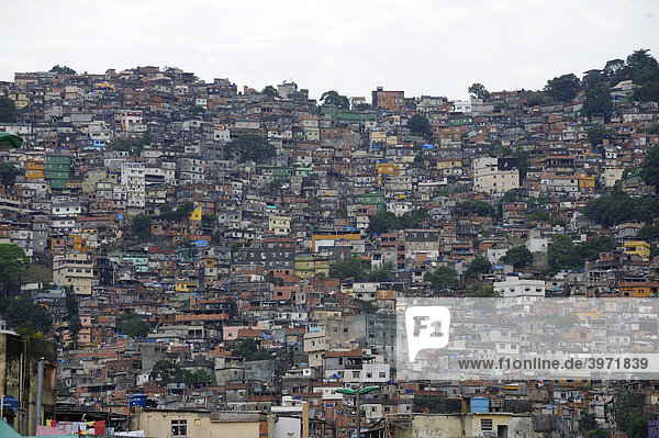 Favela in Rio de Janeiro  Brasilien