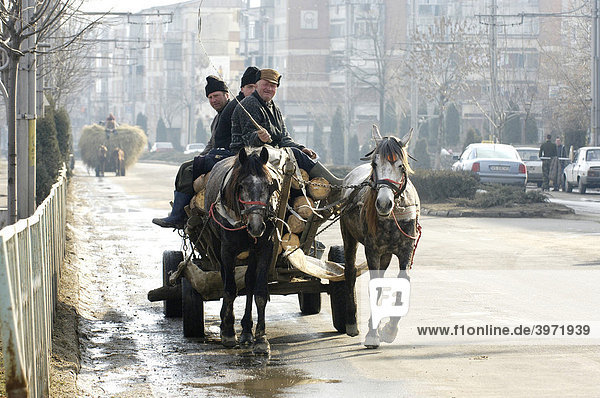 Horse-drawn vehicle  Romania  Eastern Europe