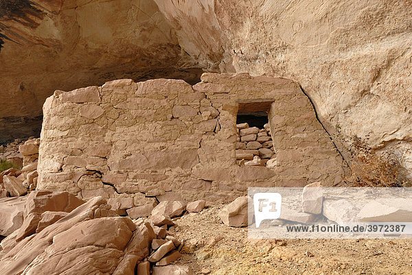 Historische Überreste einer Wohnstätte der Anasazi-Indianer  etwa 900 Jahre alt  Cold Springs Cave bei Bluff  Utah  USA